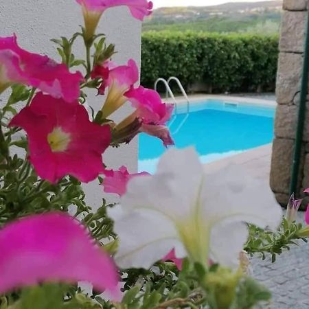 Casa Do Adro De Parada Parada de Pinhão Εξωτερικό φωτογραφία